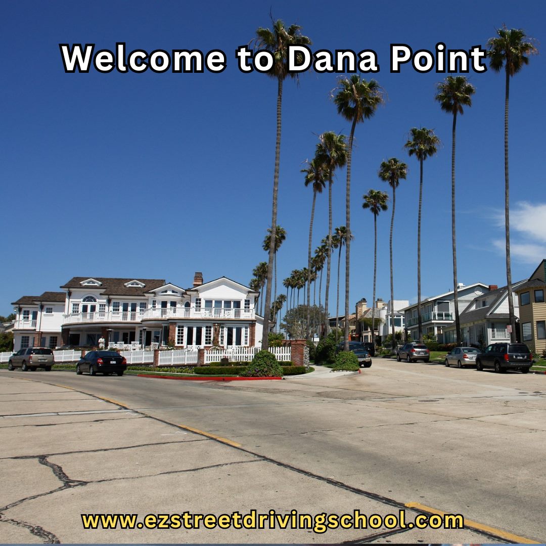 Driving Lessons in Dana Point